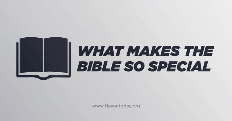 What Makes The Bible So Special HavenToday what-makes-the-bible-so-special-haventoday