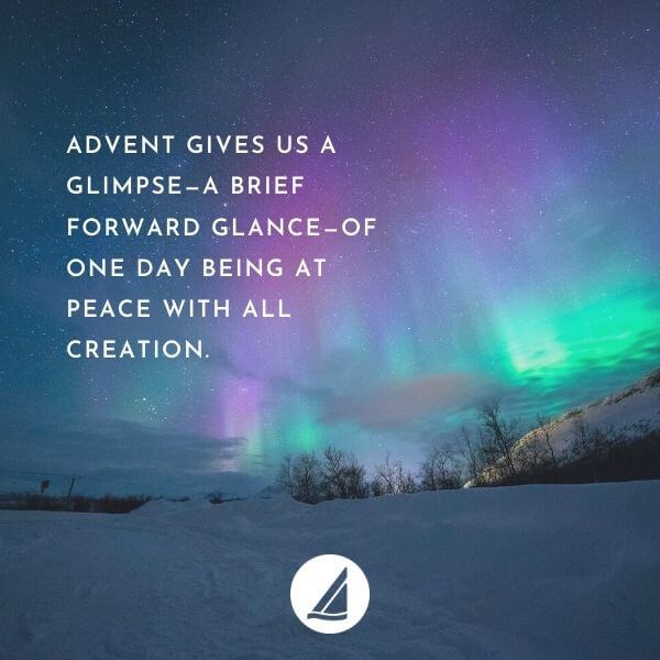 Peace With Creation Haventoday Org