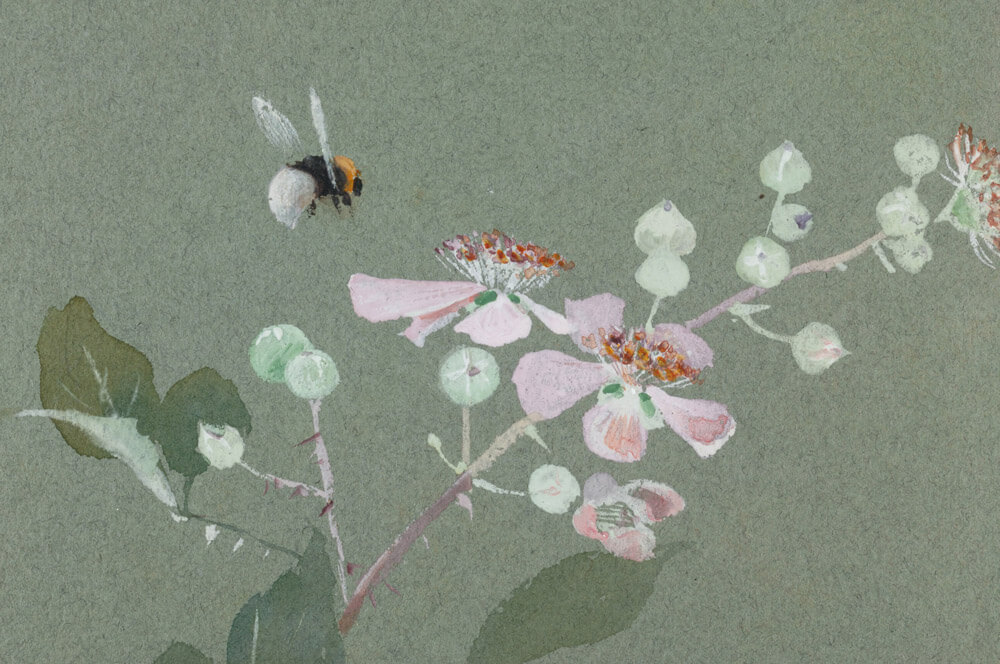 Lilias Trotter Desultory Bee painting